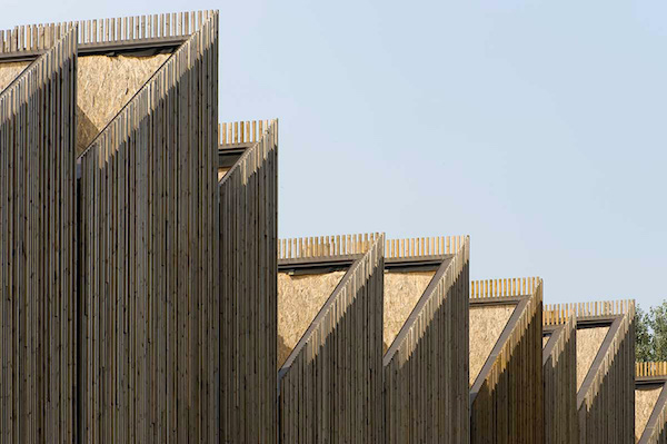 Edificio legno sede arpa dettaglio della copertura in legno